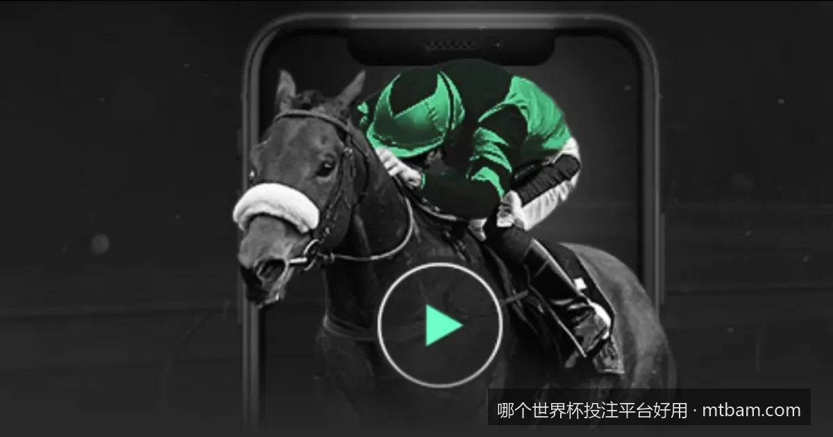 2026美加墨世界杯投注平台深度评测：如何筛选好用又安全的网站